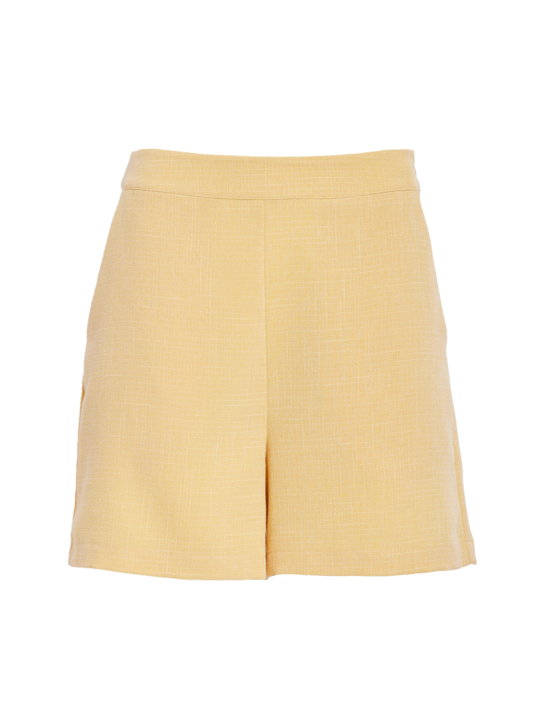 DSGemma Shorts