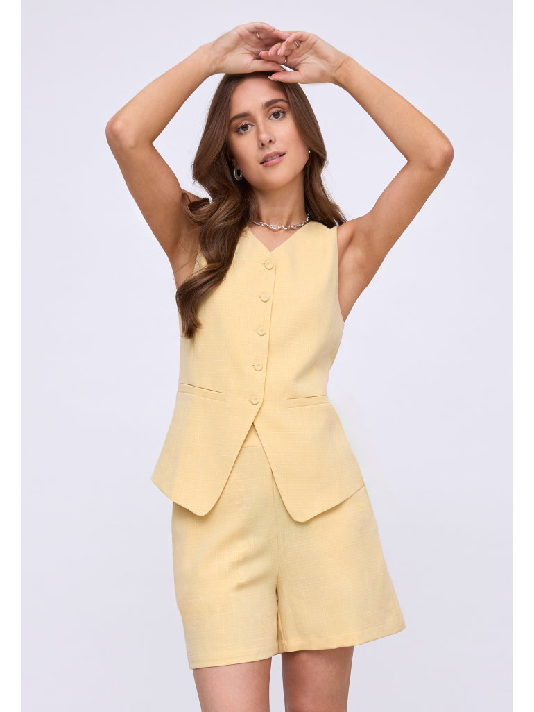 DSGemma Vest